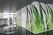 Wanddesign Tapete